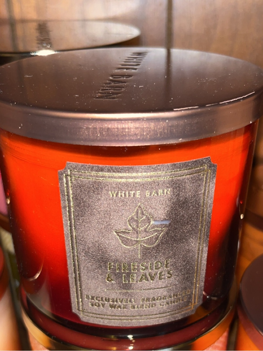 Bath & Body Works Fireside & Leaves Candle